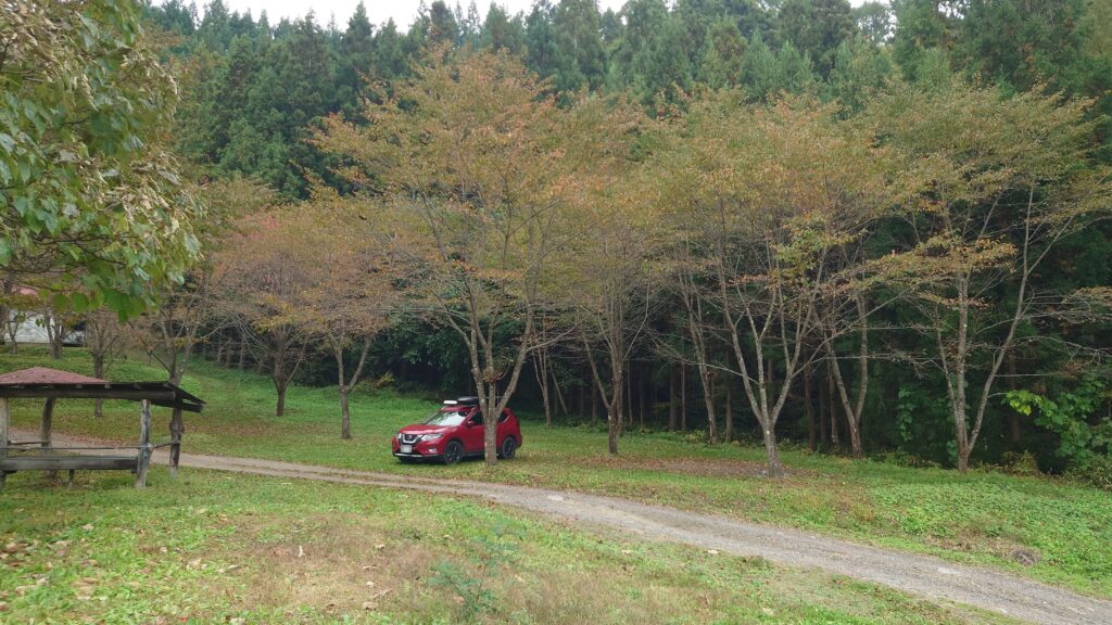 尾瀬高原オートキャンプ場高い台のサイト