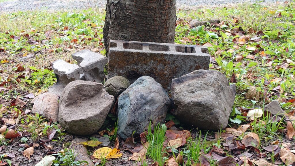 尾瀬高原オートキャンプ場エリアに置かれた石