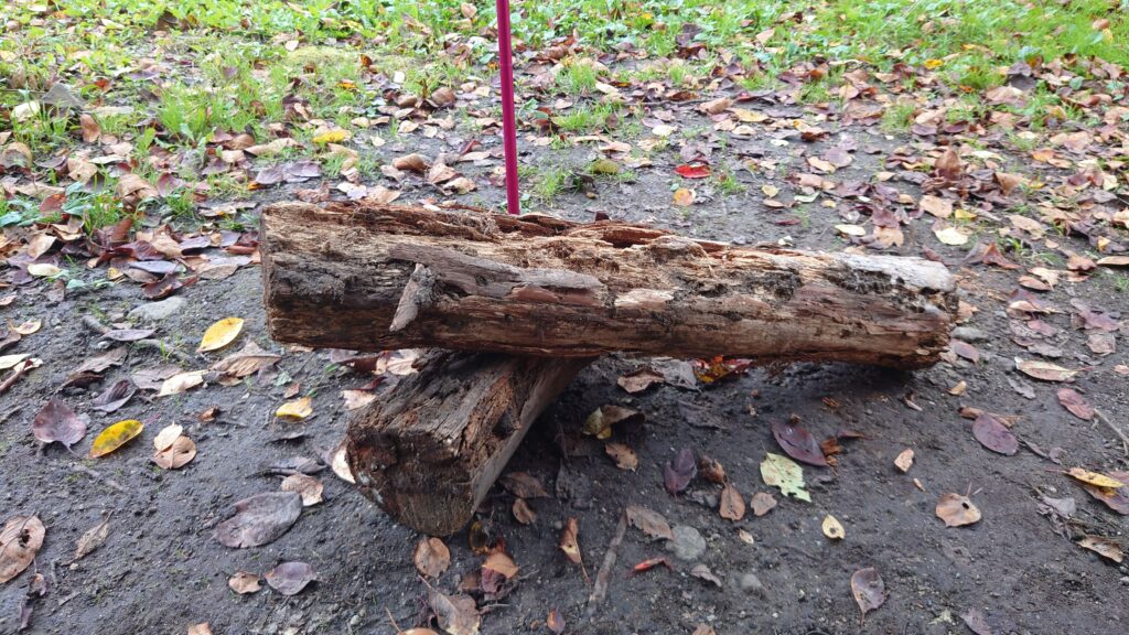 尾瀬高原オートキャンプ場でいただいた薪