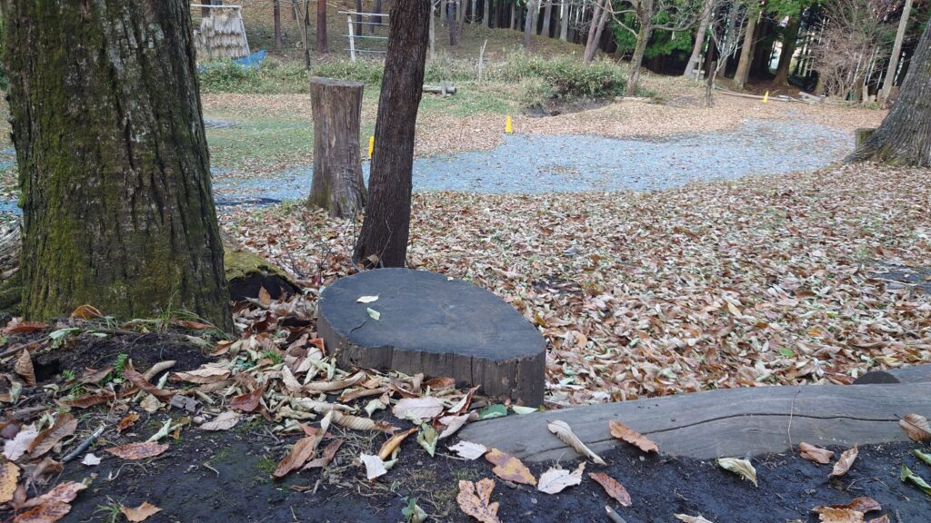 キャンプ剛健仲間、薪割り台にちょうどいい切り株