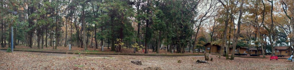 八千代グリーンビレッジキャンプ場周りの舗道