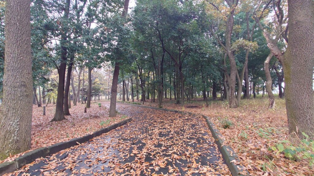 八千代グリーンビレッジ、雑木林の舗道