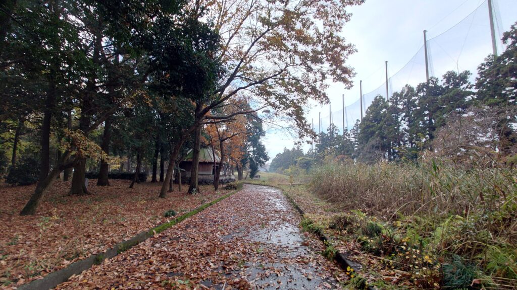 八千代グイーンビレッジ、隣接するゴルフ練習場のネット