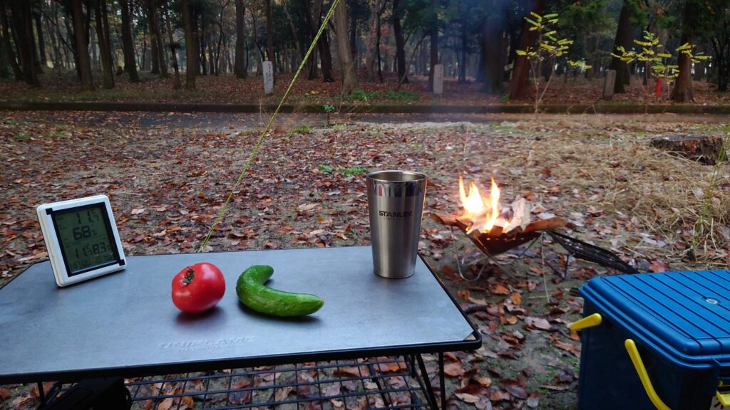 テーブルの上のトマトとキュウリ