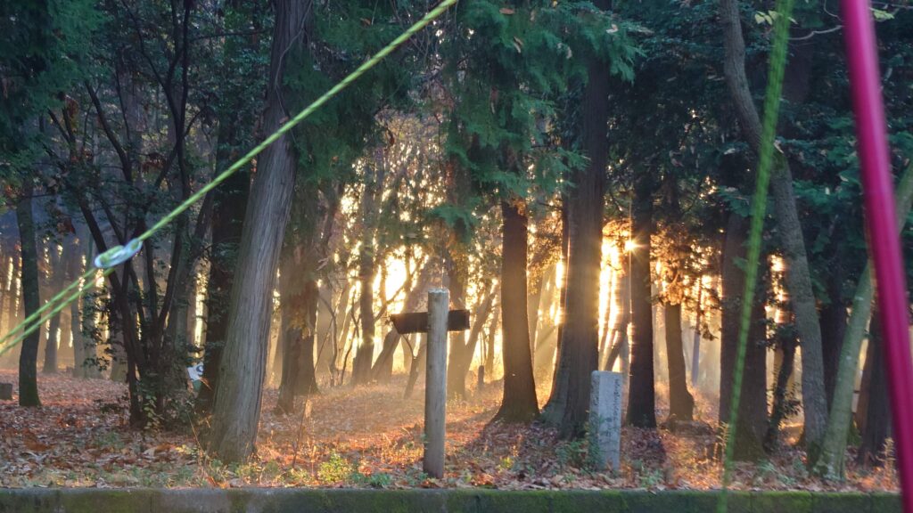 八千代グリーンビレッジキャンプ場朝の日差し
