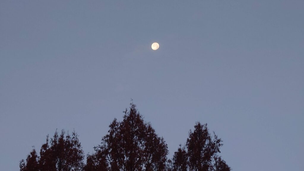 明け方の月