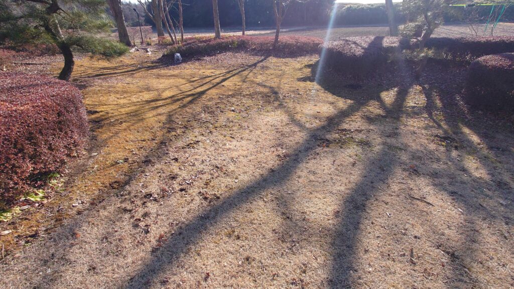 井頭温泉チャットパレスソロキャンプエリア