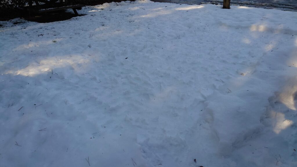 テント用に踏み固めた雪