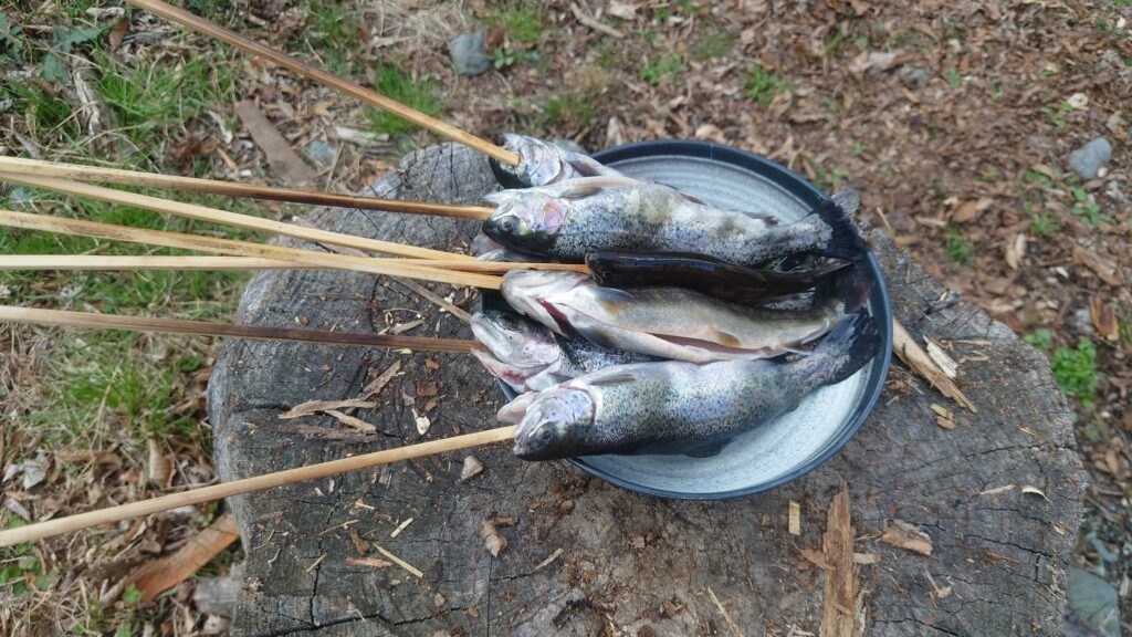 捌いて串を刺した魚