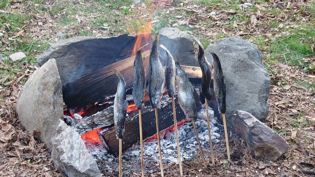 串に刺した魚を焚火で焼く
