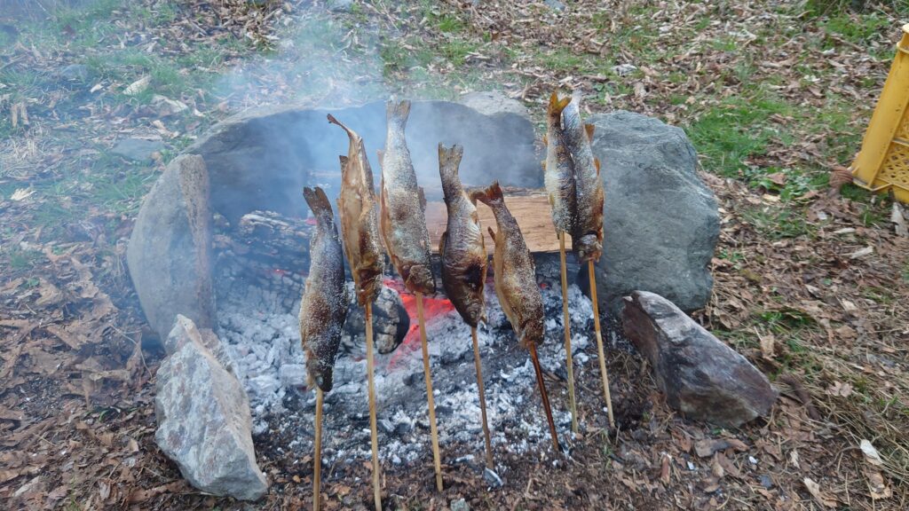 焚火で焼いた川魚