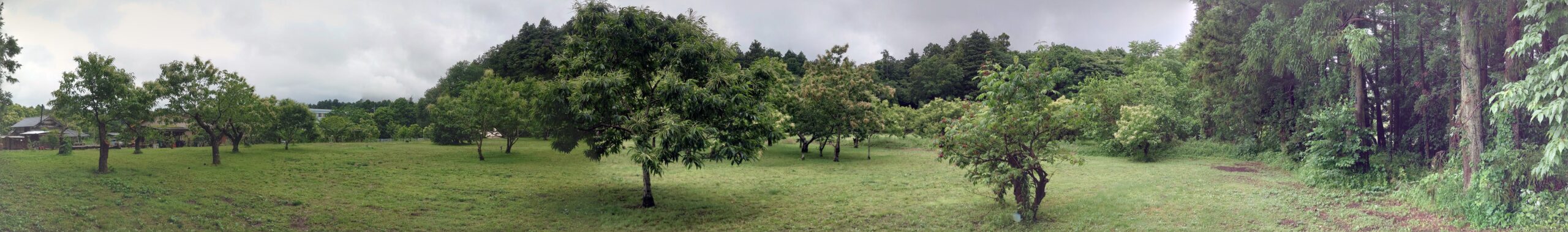 しもはじ埴輪キャンプ場栗の丘サイト