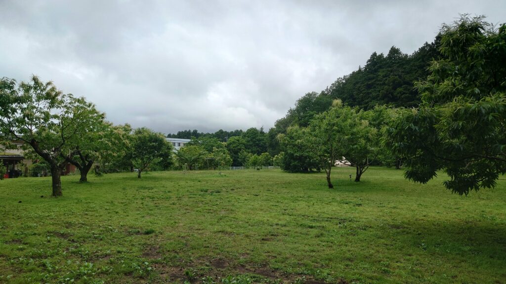 しもはじ埴輪キャンプ場栗の丘サイト