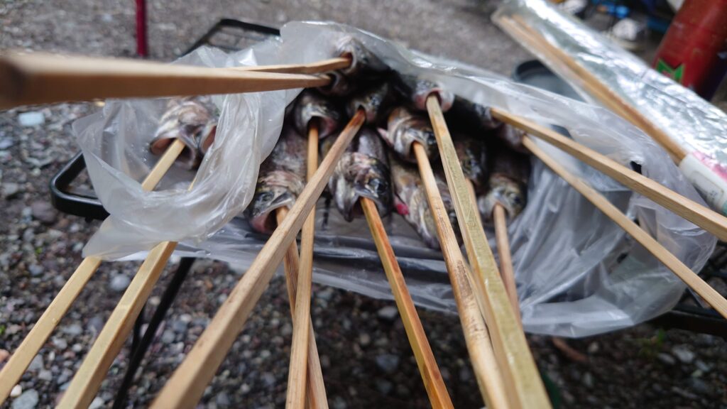 串を打ったニジマス