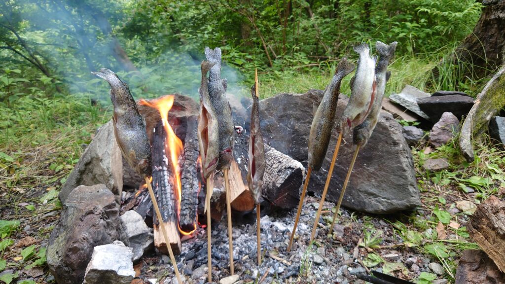 焚火で鱒の塩焼き