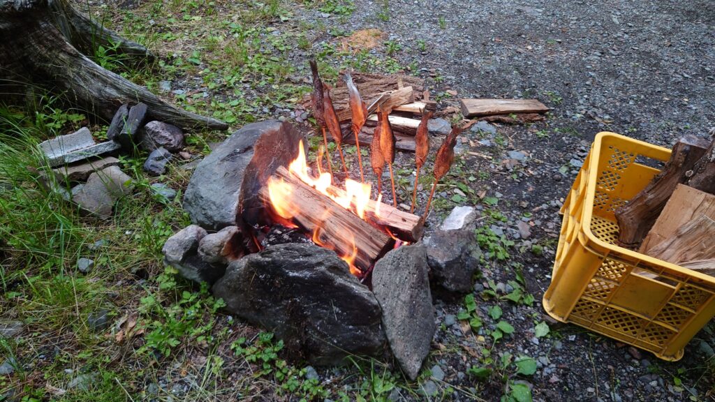 焚火でマスの塩焼き