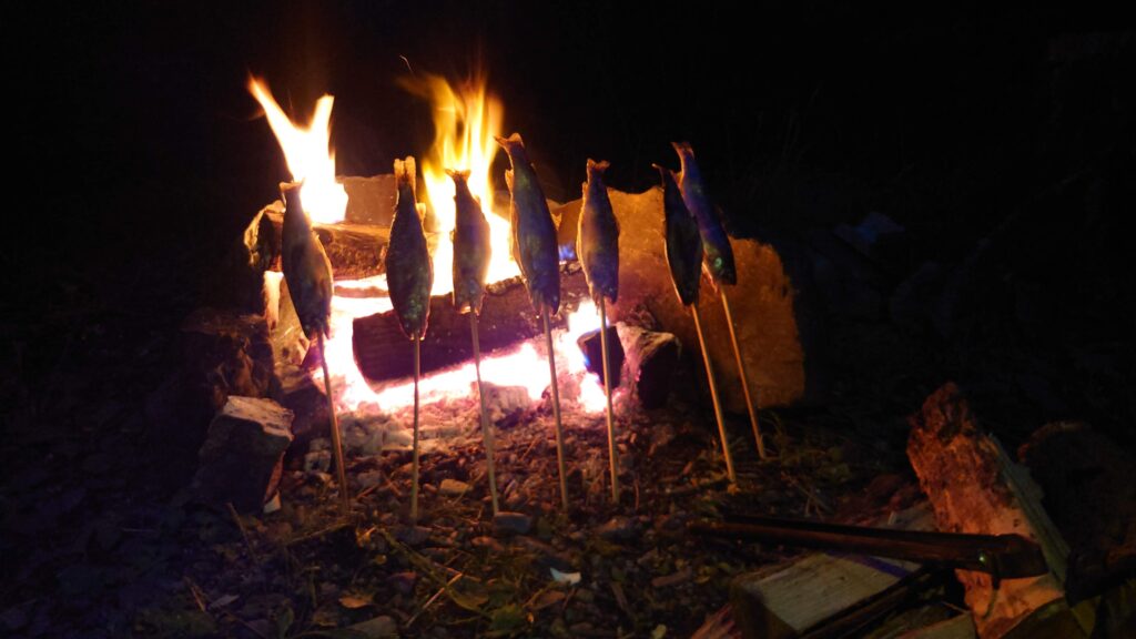 渓流釣りようらく直火焚火でマスの塩焼き