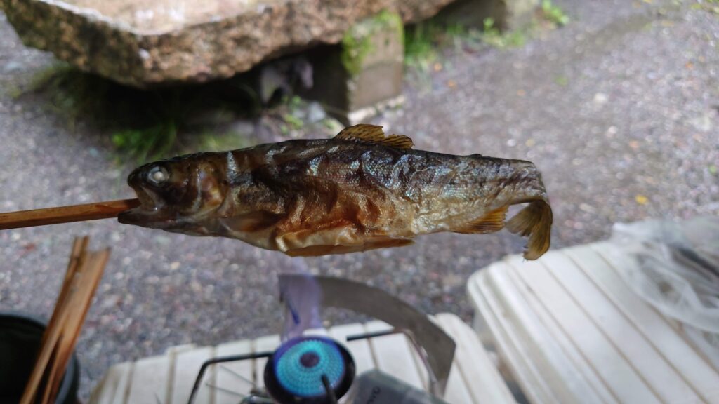 マスの塩焼きをバーナーで焙る