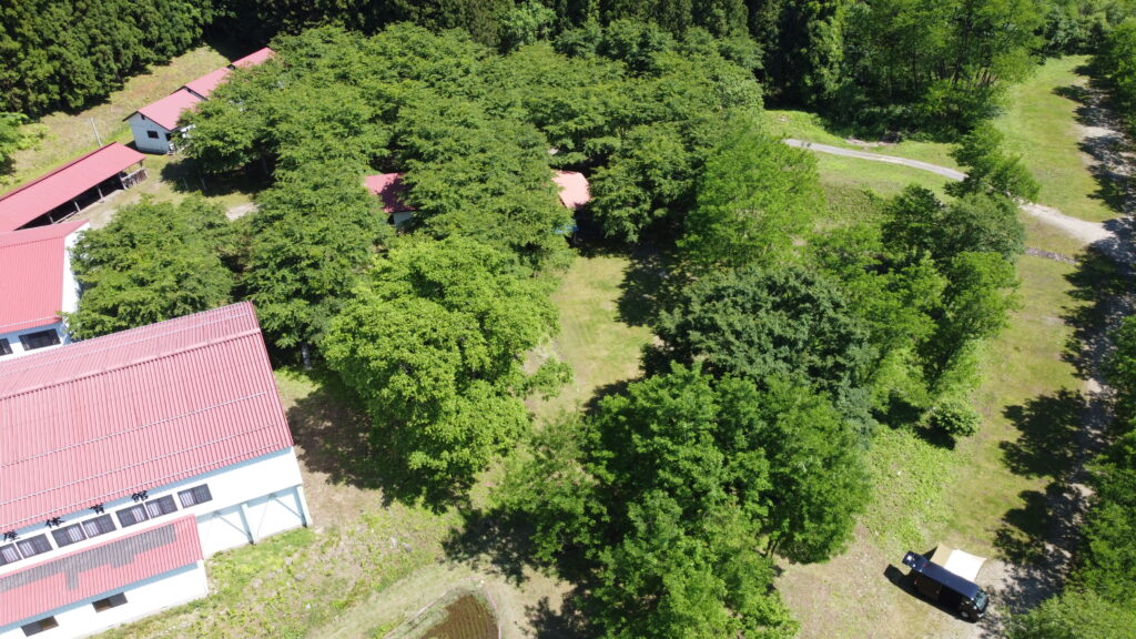 尾瀬高原オートキャンプ場全エリア