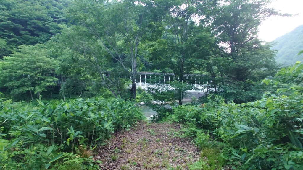 せせらぎオートキャンプ場RedBeanから伊南川への降り口