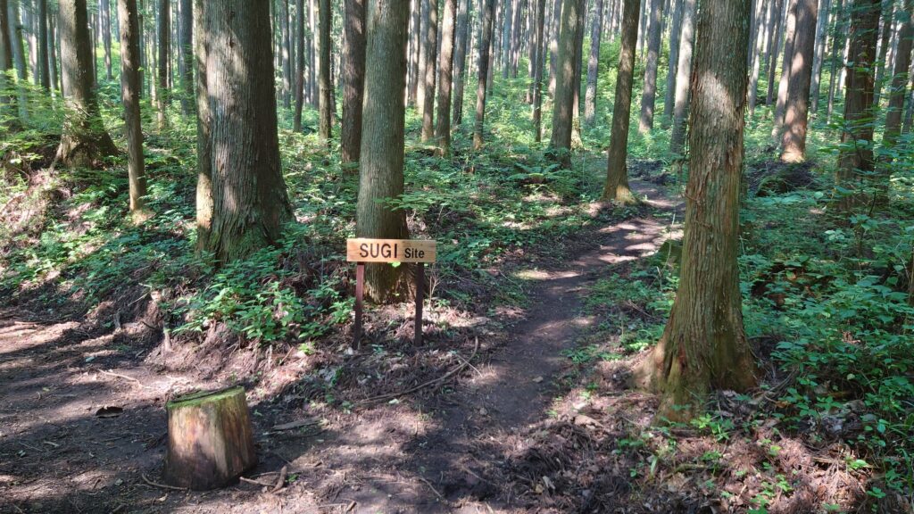 BUSH CRAFT BASE SUGI site