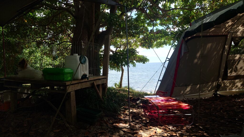勝尾崎キャンプ場海辺のテントサイト