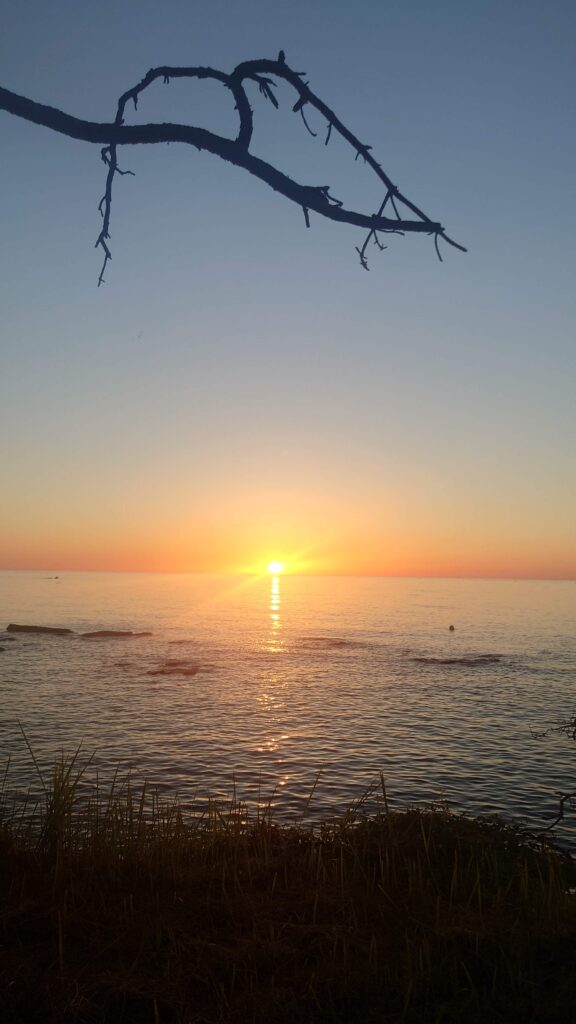 勝尾崎キャンプ場日の出