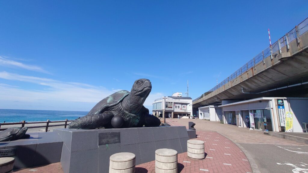 道の駅親不知ピアパークウミガメ