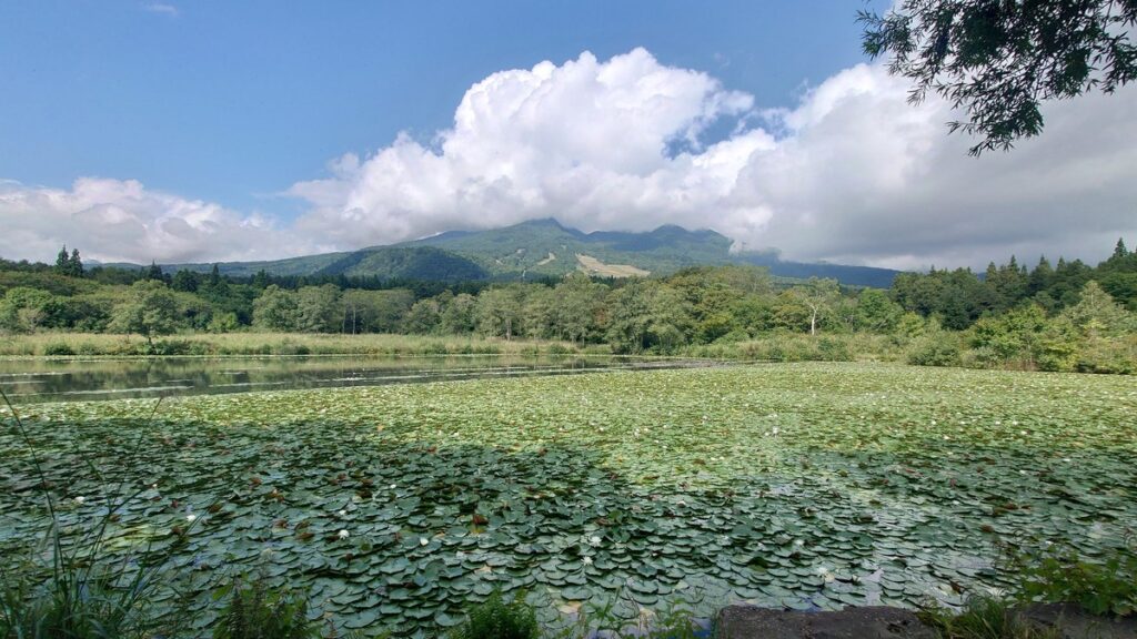 いもり池と妙高山