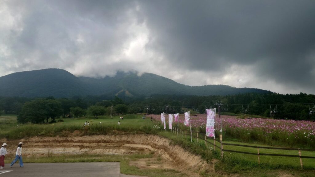 黒姫高原コスモス園から黒姫山を望む