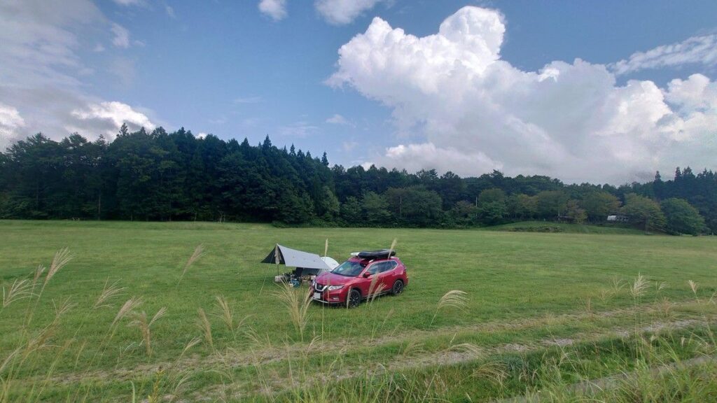 やすらぎの森オートキャンプ場フリーサイト貸し切り状態