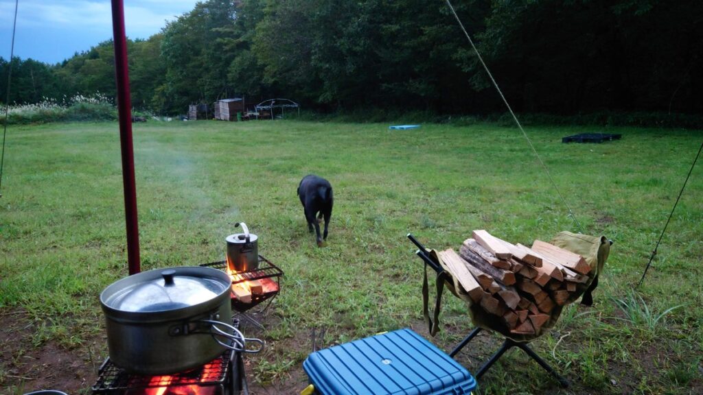 戻っていく黒い主の後ろ姿