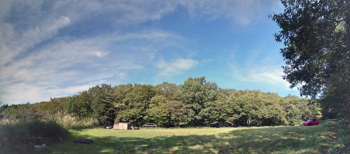 星空キャンプ場芝生フリーサイト