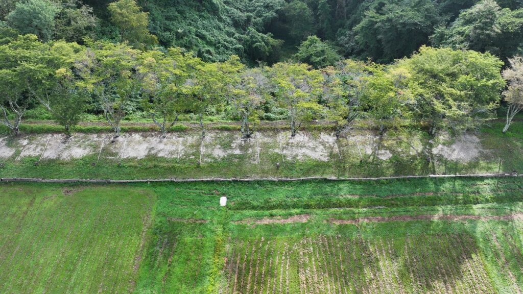 高萩ユーフィールドテントフィールド