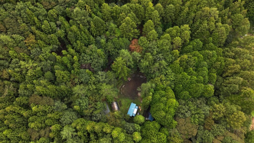 花咲森のキャンプ場広場上空