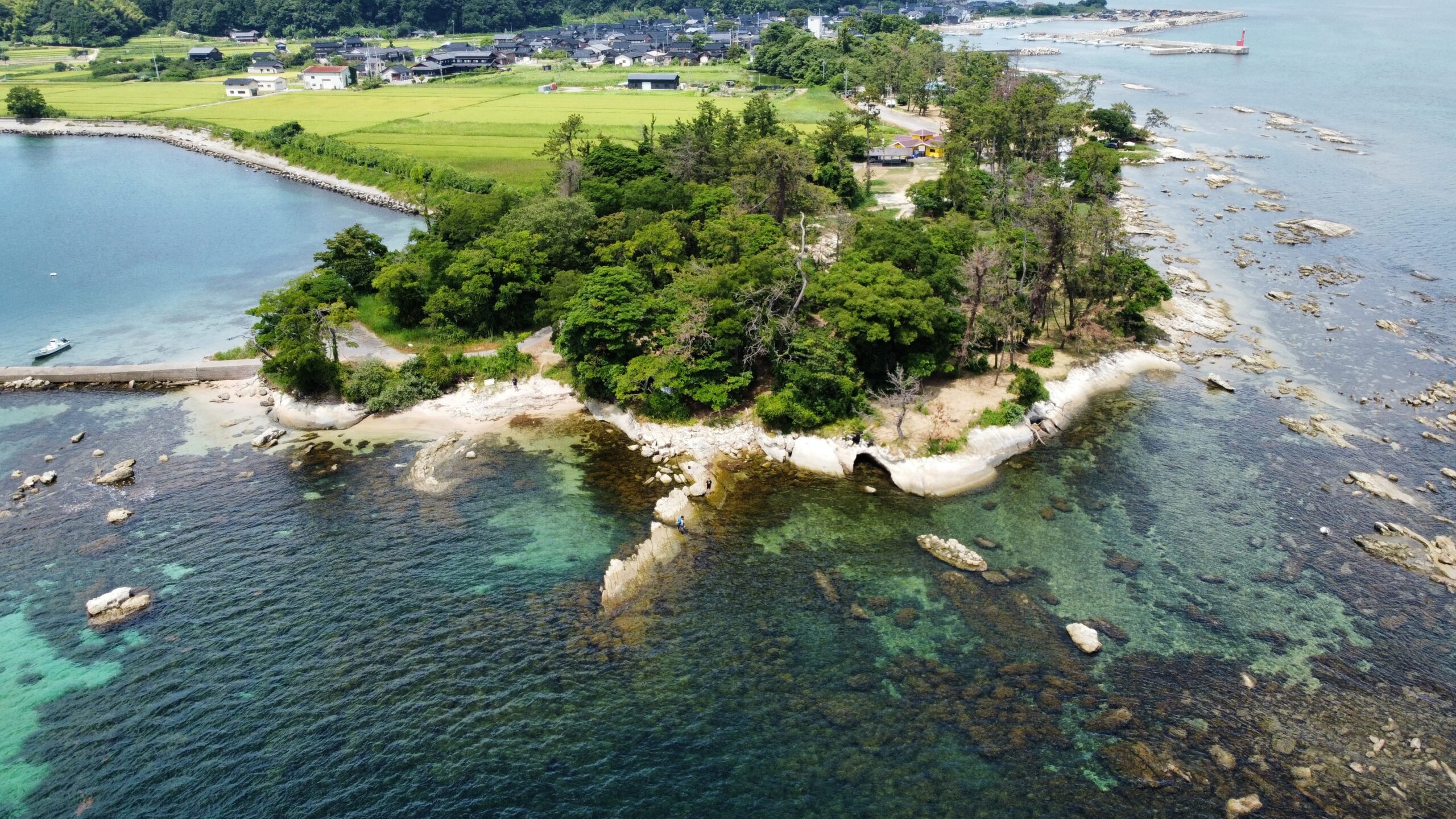 勝尾崎キャンプ場空撮