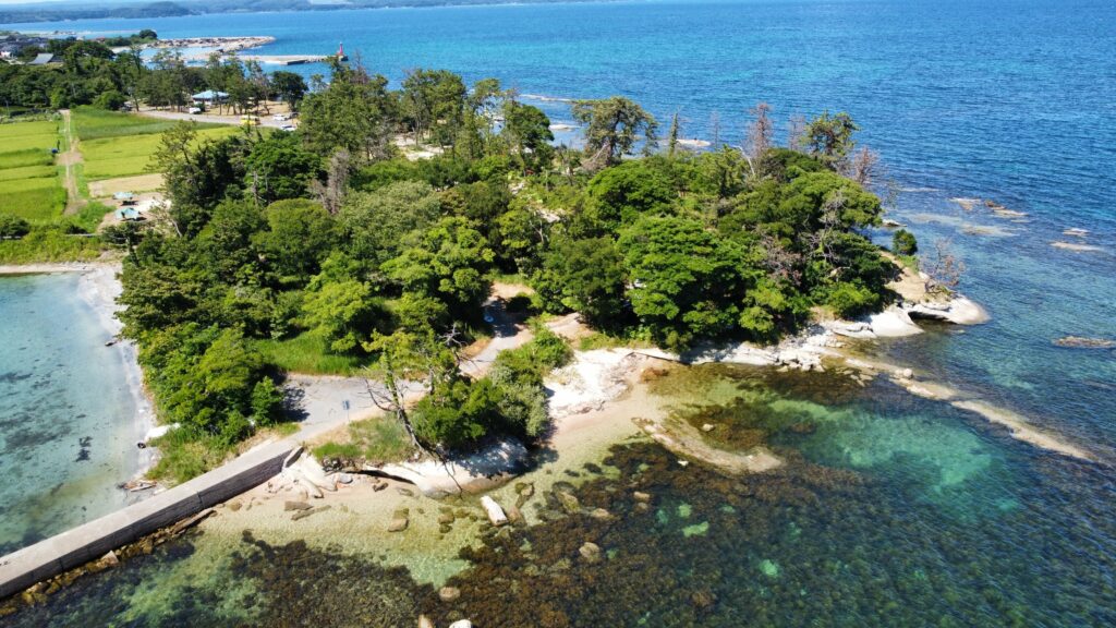 勝尾崎キャンプ場空撮全景