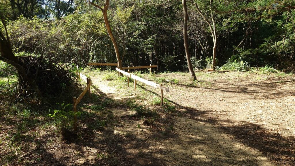 WILD CAMP MICHIYABARA リバーサイト奥