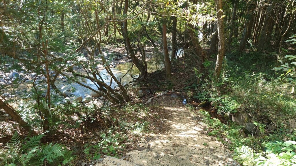 WILD CAMP MICHIYABARA リバーサイトから沢へ続く道