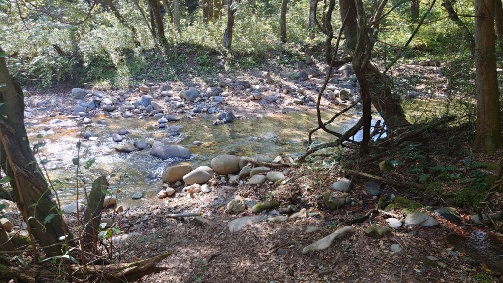 WILD CAMP MICHIYABARA 遅沢川