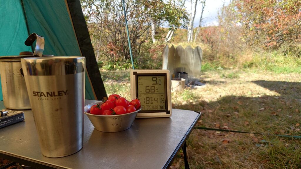 スクリーンタープから見た焚火用スクリーン