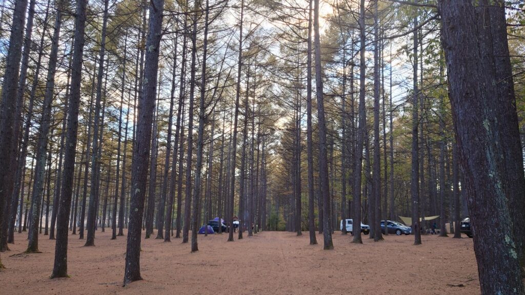 outsideBASEキャンプ場内の通路