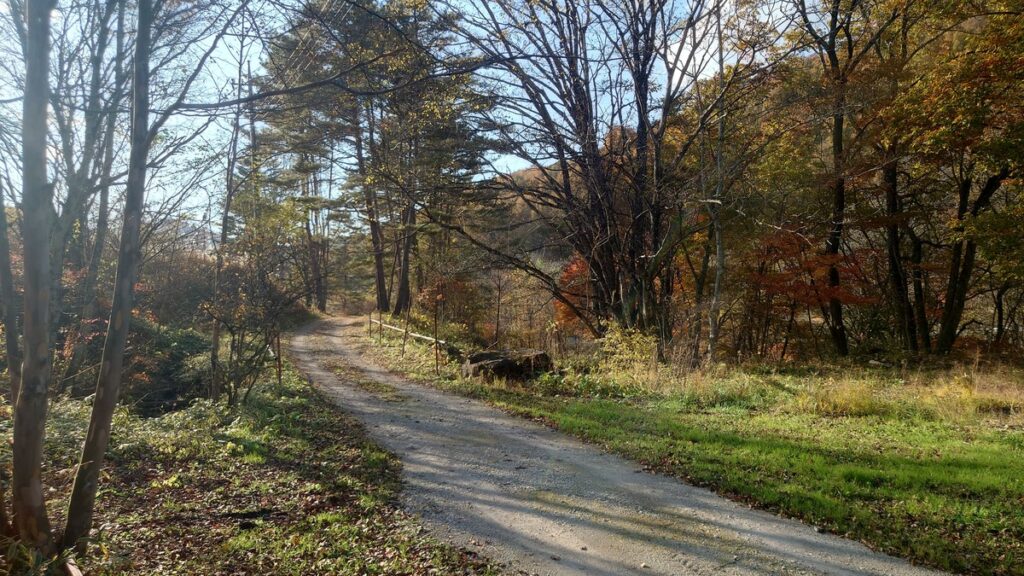 十二の杜オートキャンプ場キャンプサイトへの道