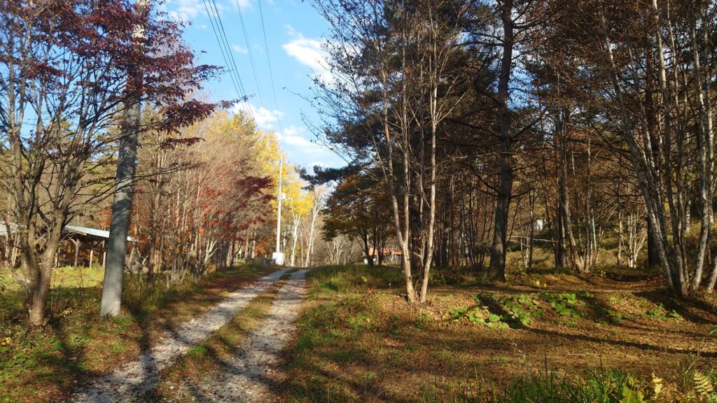 十二の杜オートキャンプ場ソロエリア