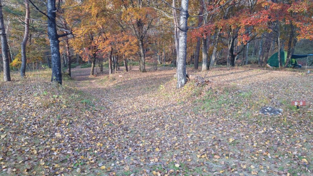 十二の杜オートキャンプ場Bエリア方面