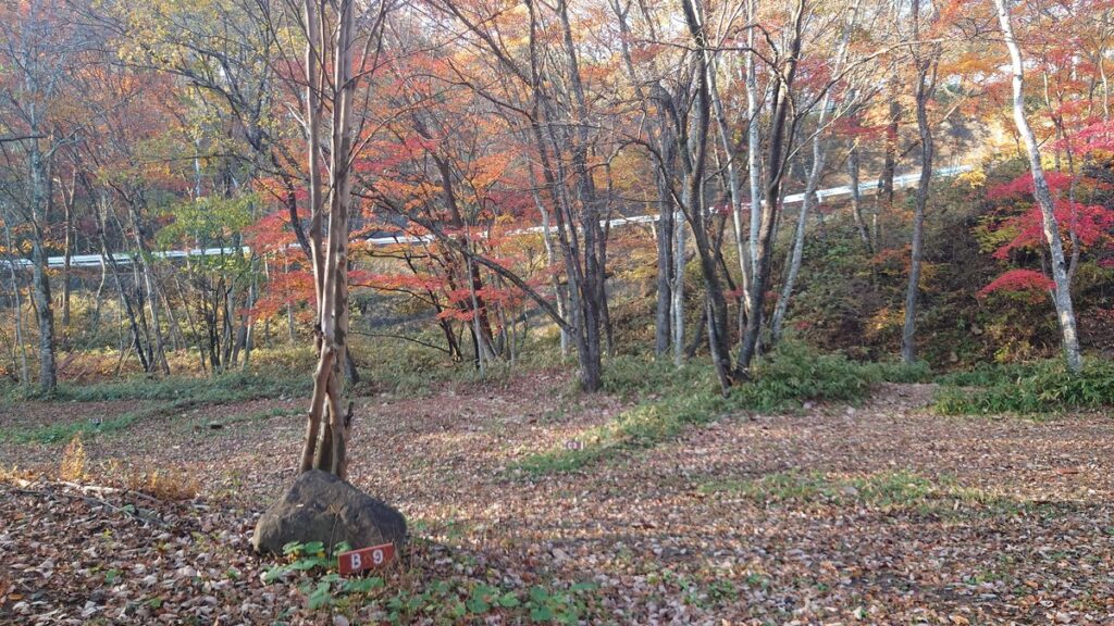 十二の杜オートキャンプ場Bサイト川沿い