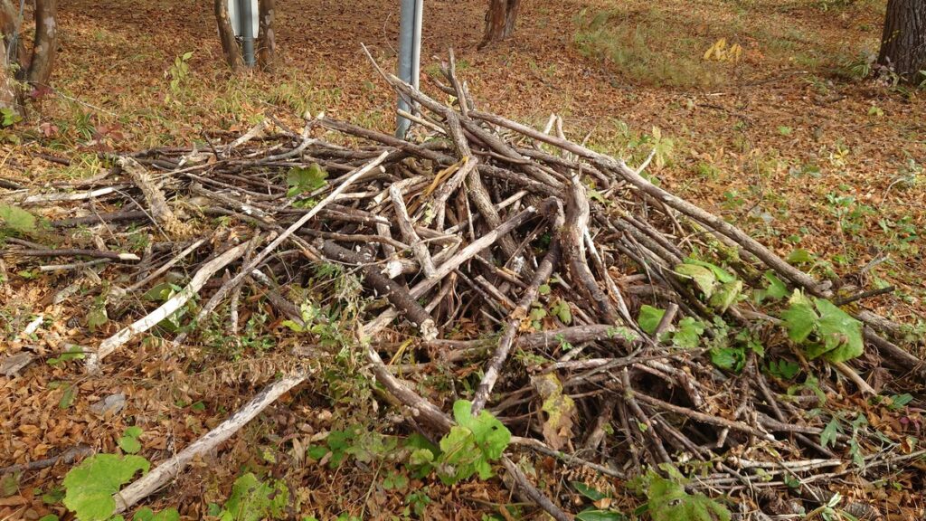 十二の杜オートキャンプ場の焚き木