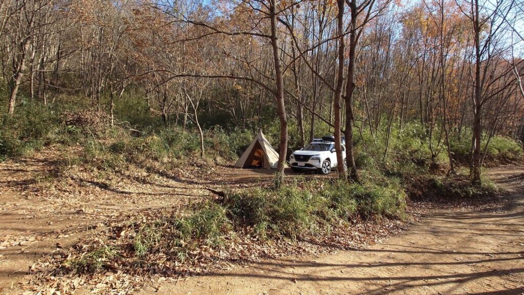 栃木の森キャンプ場北側斜面の上段エリア