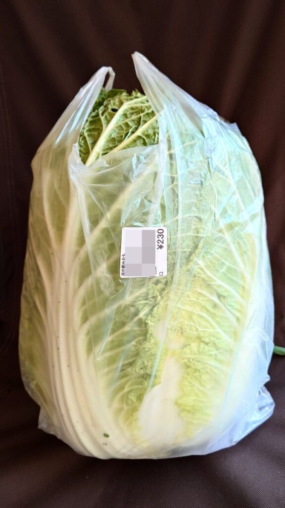 道の駅みかもで購入した巨大白菜