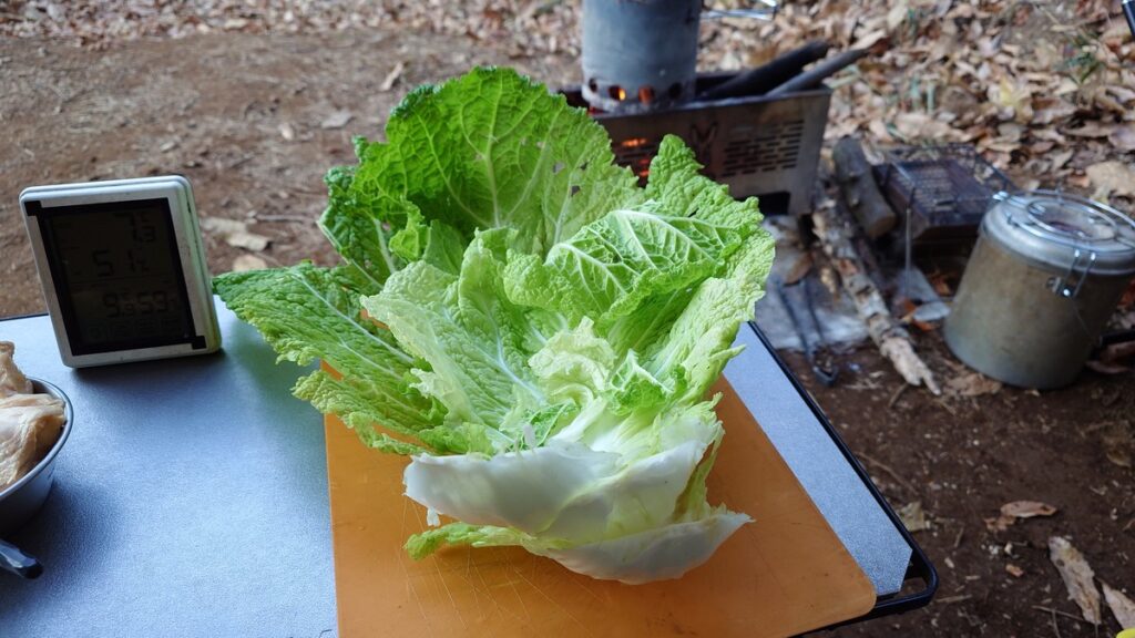 巨大白菜の葉を3枚剥がし洗った物